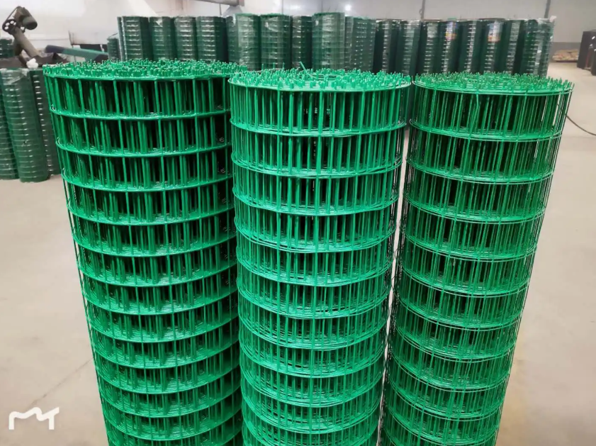 庐阳荷兰网